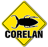 Corelan.webp